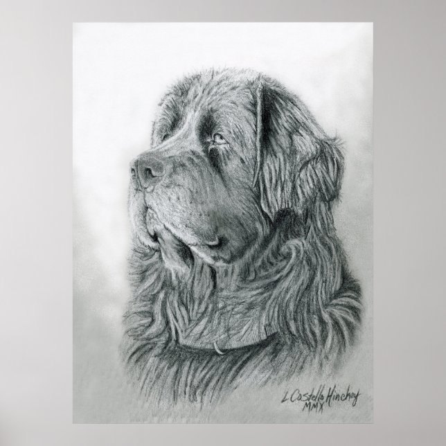 Newfoundland Portrait Poster (Front)
