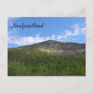 Newfoundland Postcard