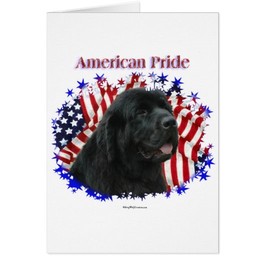 Newfoundland Pride Cards (Front)