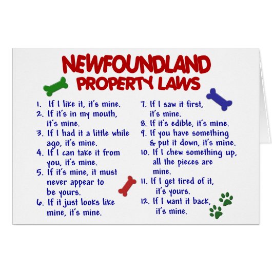 NEWFOUNDLAND Property Laws 2 Cards (Front Horizontal)