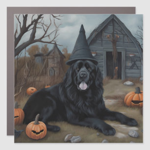 Newfoundland Pumpkins Halloween Scary Car Magnet