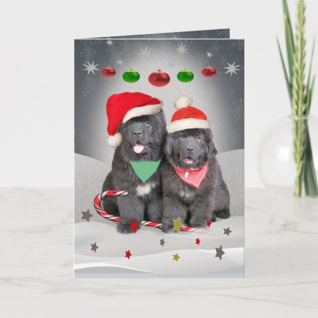 Newfoundland Puppies A Merry Christmas Holiday Card (Front)
