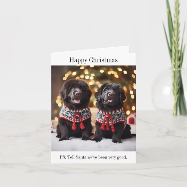 Newfoundland Puppies Christmas Jumpers Card (Front)