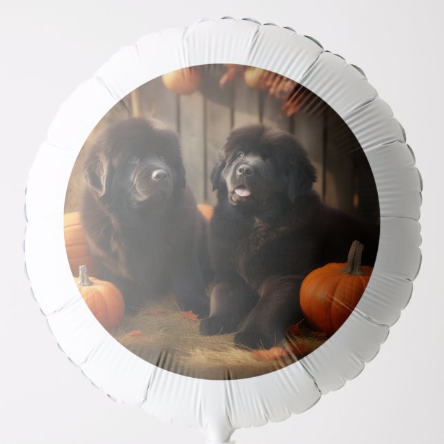 Newfoundland Puppy Autumn Delight Pumpkin Balloon (Front)