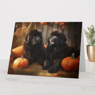 Newfoundland Puppy Autumn Delight Pumpkin Card
