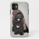 Newfoundland Puppy Iphone 11 Case at Zazzle