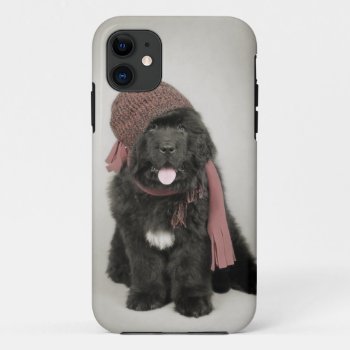 Newfoundland Puppy Iphone 11 Case by petsArt at Zazzle