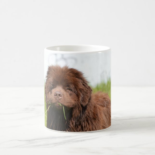 Newfoundland puppy coffee mug (Center)