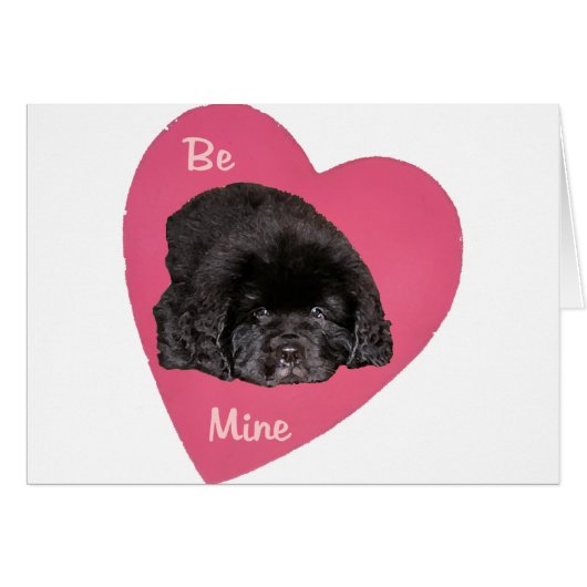 Newfoundland Puppy Dog Love Heart Cards (Front Horizontal)