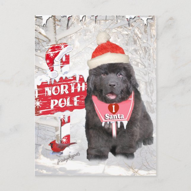 Newfoundland Puppy Loves Santa Cards (Front)