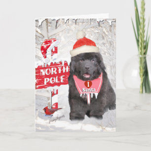 Newfoundland Puppy Loves Santa Holiday Card
