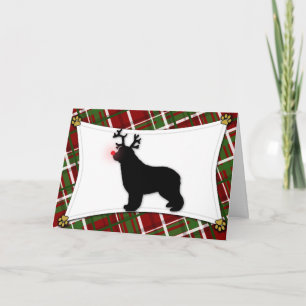 Newfoundland Reindeer Christmas Card