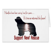 Newfoundland Rescue (Front Horizontal)