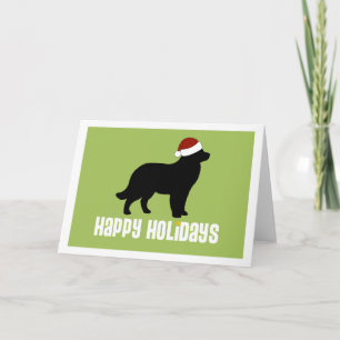 Newfoundland Santa Hat Holiday Card