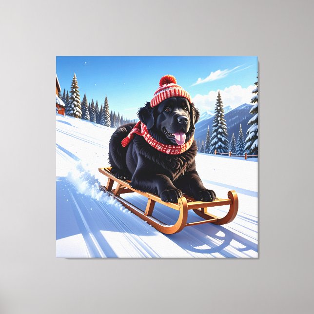 Newfoundland Sled Ride Canvas Print (Front)