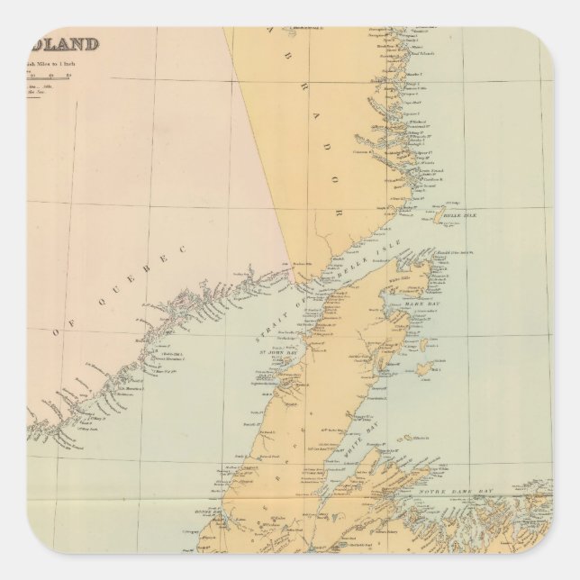 Newfoundland Square Sticker (Front)