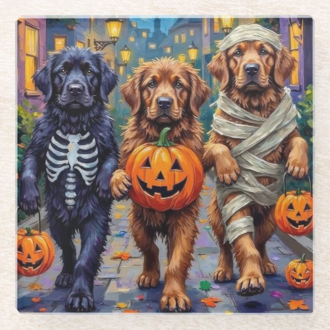 Newfoundland Trick-or-Treating Halloween Costumes Glass Coaster (Front)
