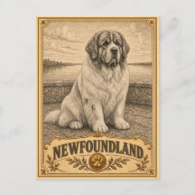 Newfoundland, Vintage Heritage Dog