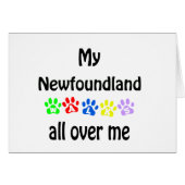Newfoundland Walks Design (Front Horizontal)