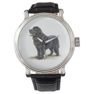 Newfoundland Watch