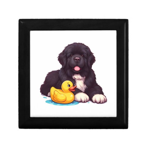 Newfoundland with a rubber duck   gift box