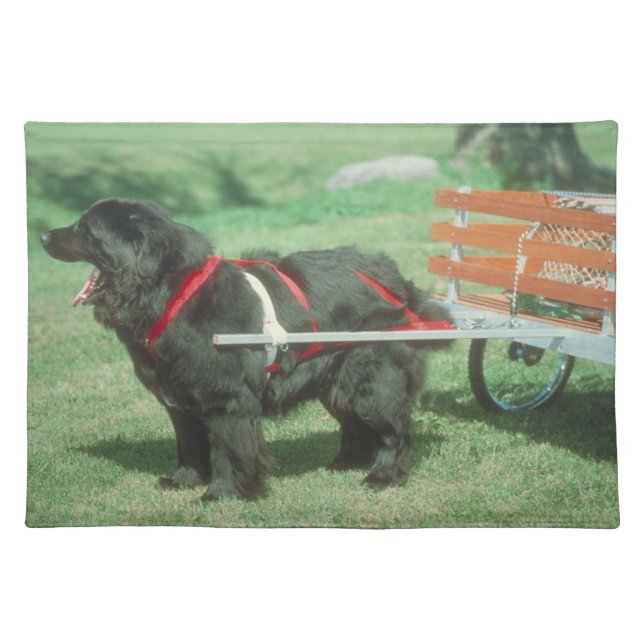Newfoundland with Cart Dog Placemat (Front)