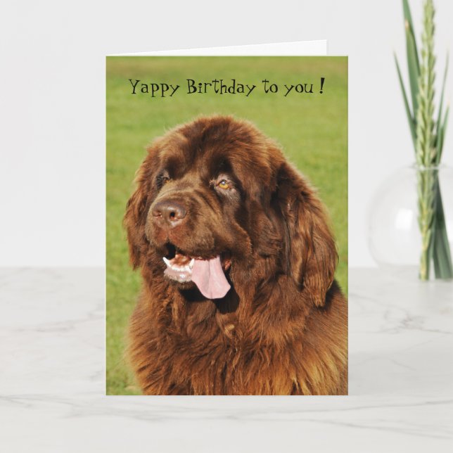 Newfoundland Yappy Birthday Card (Front)