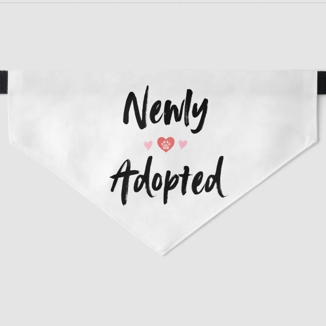 Newly Adopted Rescue Pet Bandana Collar (Front)