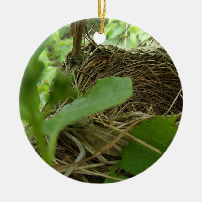 Newly Built but Empty Bird Nest in a Mulberry Tree Ceramic Ornament (Front)