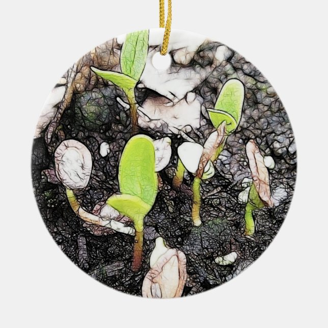 Newly Sprouted Seedlings Ceramic Ornament (Front)
