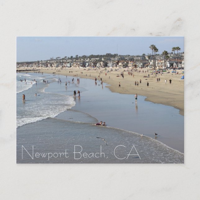 Newport Beach Postcard! Postcard (Front)