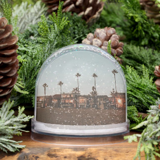 Newport Beach Snow Globe