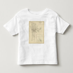 Newport, Sullivan Co Toddler T-shirt