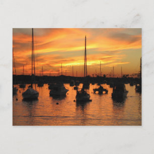 Newport Sunset Postcard