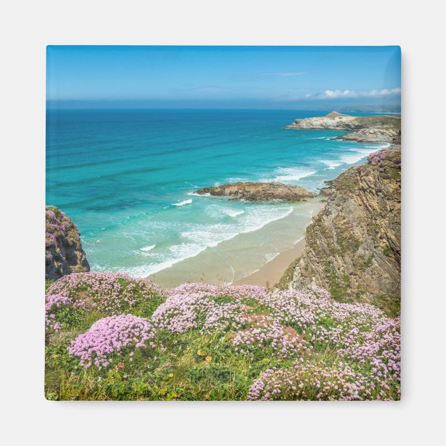 Newquay beach in North Cornwall wild flowers cliff Magnet (Front)
