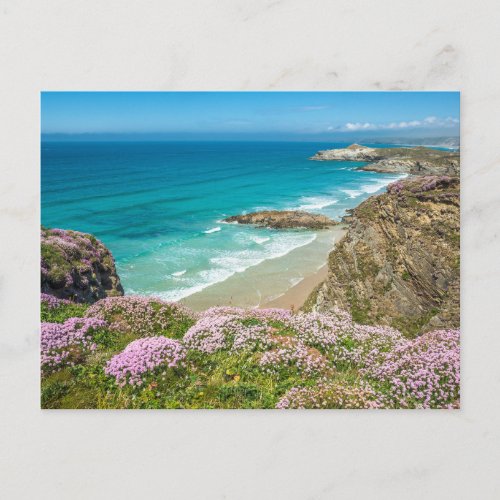 Newquay beach in North Cornwall wild flowers cliff Postcard