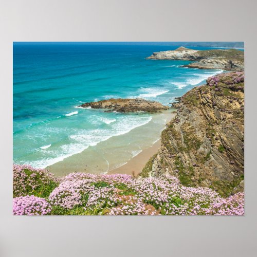 Newquay beach in North Cornwall wild flowers cliff Poster
