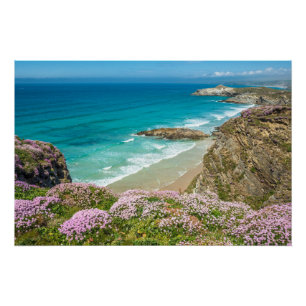 Newquay beach in North Cornwall wild flowers cliff Poster