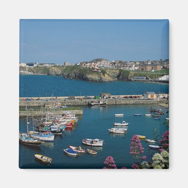 Newquay harbor, Cornwall, U.K. Magnet (Front)