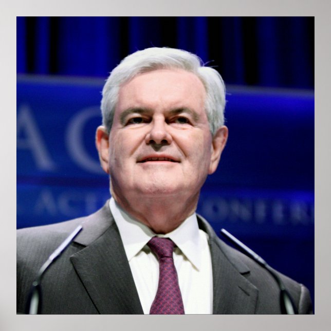 Newt Gingrich Poster (Front)