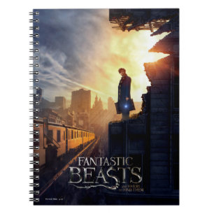 NEWT SCAMANDER™ in Destroyed Building Notebook