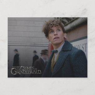 NEWT SCAMANDER™ In London Photo Postcard