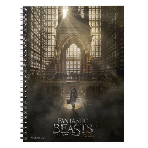 NEWT SCAMANDER in MACUSA Headquarters Notebook