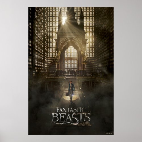 NEWT SCAMANDER in MACUSA Headquarters Poster