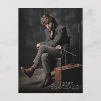 Newt Scamander™ Photo Postcard by fantasticbeasts at Zazzle