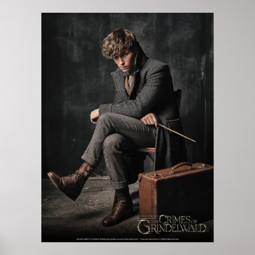 NEWT SCAMANDER Photo Poster