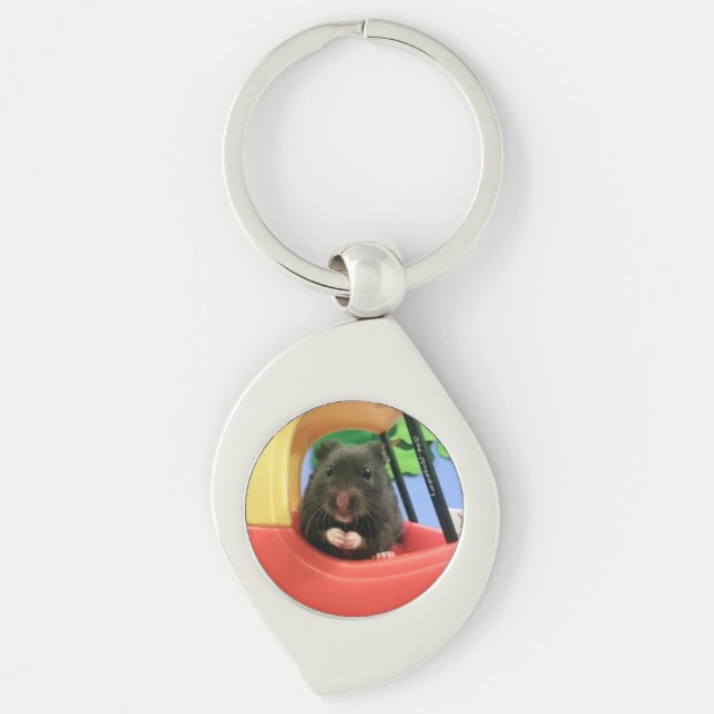 Newton Goes For a Drive Keychain (Front)