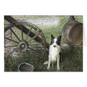 newtpraticefielddragonizer4x6 (Front Horizontal)