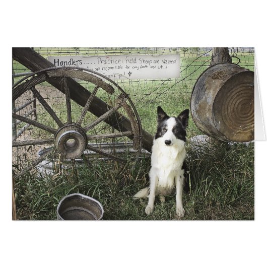 newtpraticefielddragonizer4x6 (Front Horizontal)