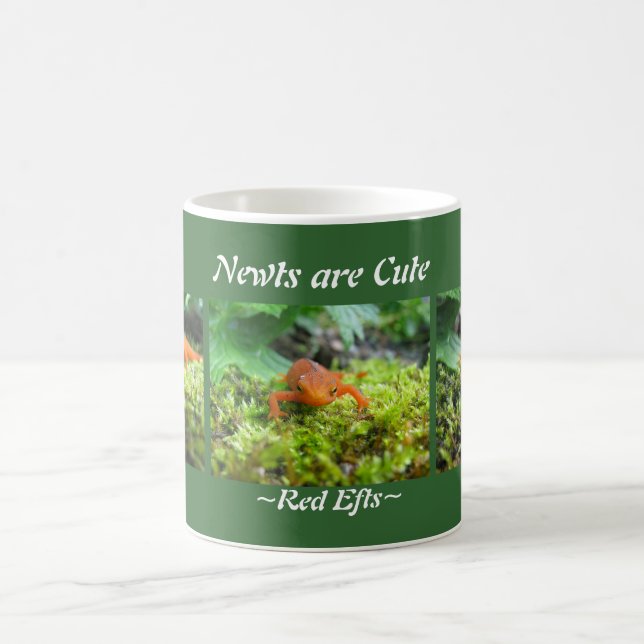 Newts are Cute Coffee Mug (Center)